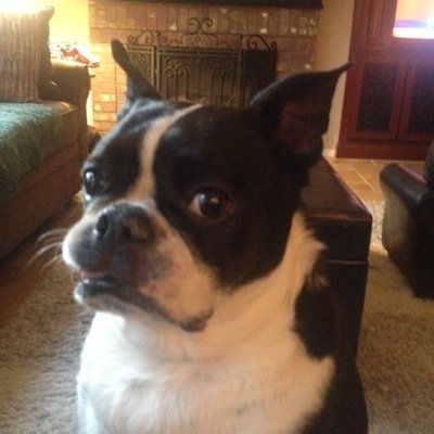 Profile Picture of Wes Sutton (@SuttWes) on Twitter