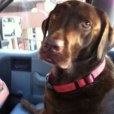 Profile Picture of Steven Vanden Heuvel (@StevenOutlook) on Twitter