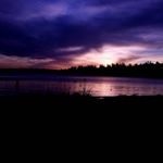 Profile Picture of Larry Liu (@pnw.liu) on Instagram