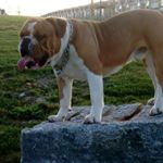 Profile Picture of sean fisher (@seanfisher6105) on Instagram