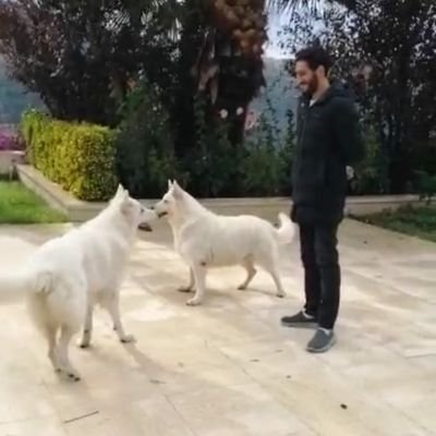 Profile Picture of Nizar Beaini (@BeainiNizar) on Twitter