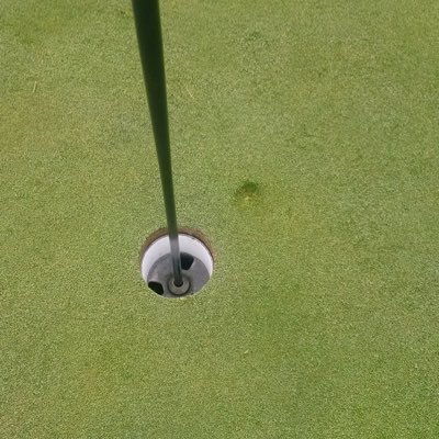 Profile Picture of Adam Bock (@eHBock) on Twitter