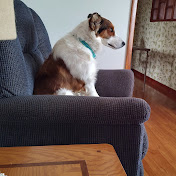 Michele Pohl - Youtube Profile Picture of Michele Pohl (@SamtheMan0508) on Youtube