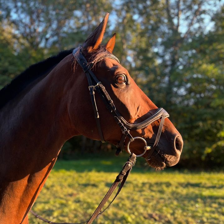 Nepperberggang - Tiktok Profile Picture of Nepperberggang (@nepperberggang) on Tiktok