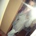 Profile Picture of Kim Isabelle P (@kim.isabellep) on Facebook