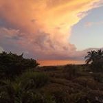 Profile Picture of Floyd Massey (@massey.floyd) on Instagram