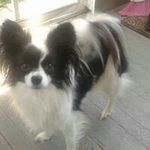 Profile Picture of Lori Whitaker (@loriwhitaker) on Instagram