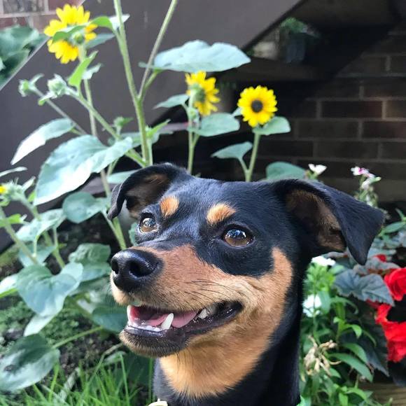 Profile Picture of Nanette Caravette (@ncaravette) on Poshmark