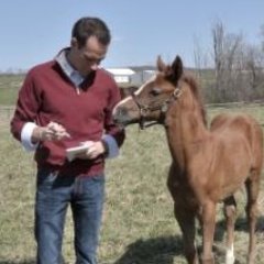 Profile Picture of Adam Sichko (@NSHBIZSichko) on Twitter