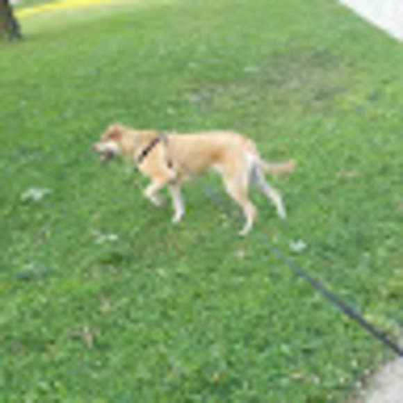 Profile Picture of Alex Winters (@axwinters) on Poshmark