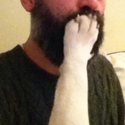 Profile Picture of Andy Simmons (@TheAndyLizard) on Twitter
