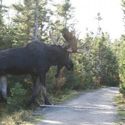 Profile Picture of Michael Jette (@atmichaeljette) on Twitter