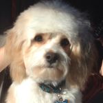 Profile Picture of Caydence Myler (@caydencemyler) on Instagram