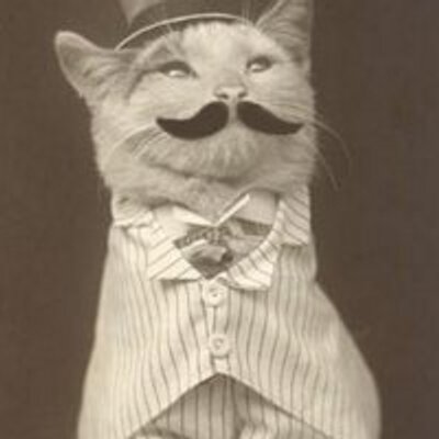 Profile Picture of Alex Rand (@SuperiorCatss) on Twitter