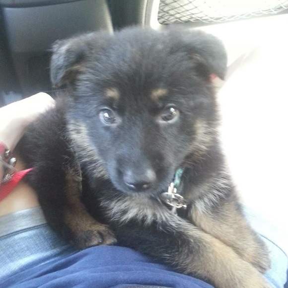 Profile Picture of Matthew Click (@matthew_007) on Poshmark