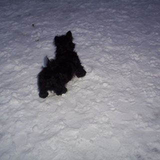 Profile Picture of Amy Glentworth (@Amy-Glentworth) on Facebook