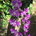 Profile Picture of Margaret J. Fiola (@mjfiola) on Instagram