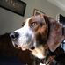 Profile Picture of David Lafluer (@david.lafluer.98) on Facebook