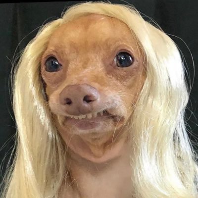 Profile Picture of Rayzis (nowk) (@NowkRayzis) on Twitter
