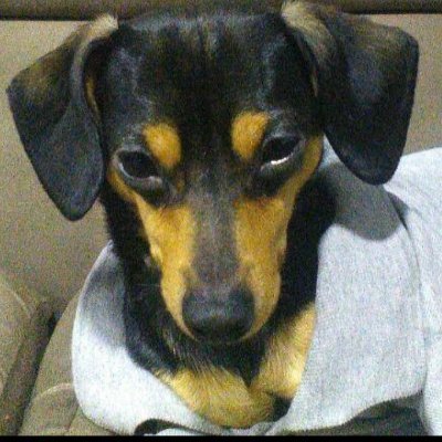 Profile Picture of David Andrés Acosta Liscano (@acosta_liscano) on Twitter