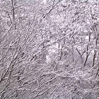 Profile Picture of Antonio Cristobal (@Antonio-Cristobal) on Facebook