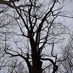 Profile Picture of John Stanson (@johnstanson09) on Instagram