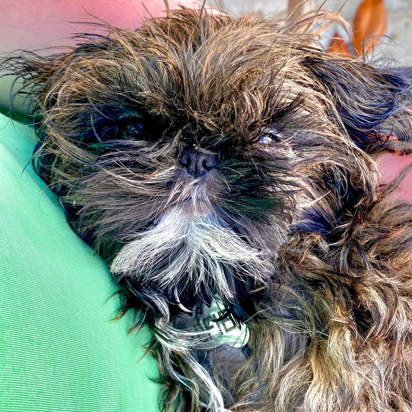 Profile Picture of Annelise Tarafas (@annelisetarafas) on Poshmark