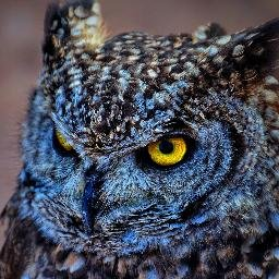 Profile Picture of René Jensen ♂ (@ReneJensen80) on Twitter