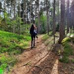 Profile Picture of Nature photographer (@lisamock.photography) on Instagram