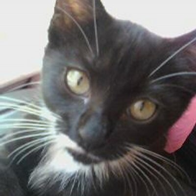 Profile Picture of Amber Skye Carlson (@skyecarlson) on Twitter