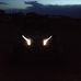 Profile Picture of Mike Gardner (@mike.hunte.735) on Facebook