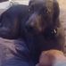 Profile Picture of Dustin Petri (@dustin.petri.52) on Facebook