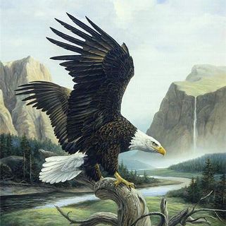 Profile Picture of Jake Schott (@jake.schott.54) on Facebook