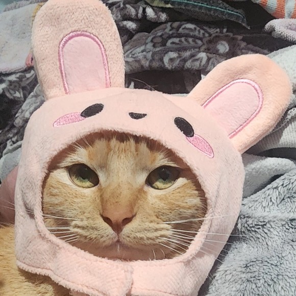 Profile Picture of Andrew Tirado (@andrewt0131) on Poshmark