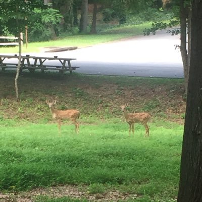 Profile Picture of Randi Marie Dyer (@randimariedyer) on Twitter