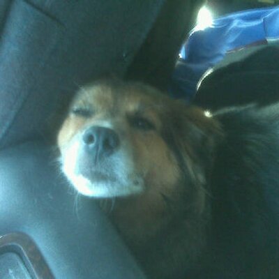 Profile Picture of Jamall Jackson Jr. (@badpryce) on Twitter