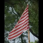 Profile Picture of Ãlêx Nitesh Bhøgtã (@naitshkumar.naitshkumar.3) on Facebook