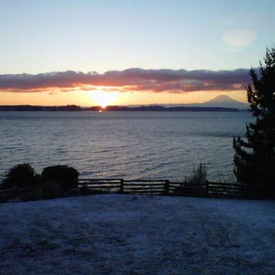 Profile Picture of Shawn Tovey (@ShawnTovey) on Twitter