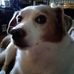 Profile Picture of Maureen C. Yoder (@Maureen-C-Yoder) on Facebook
