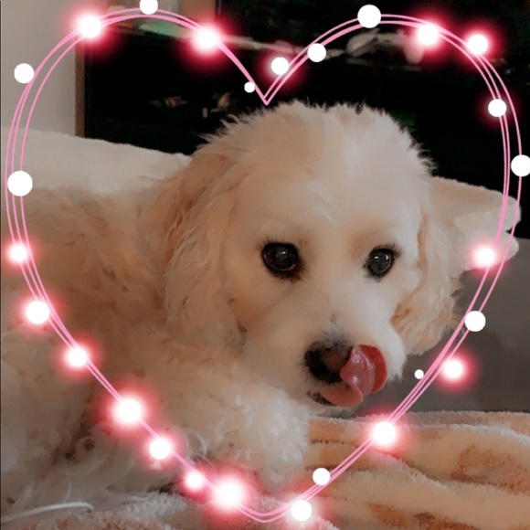 Profile Picture of Charlie Groomes (@cmgtwinmom) on Poshmark