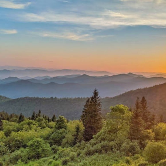 Profile Picture of Dorotha Falsetti (@dorothafalsetti) on Poshmark