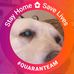 Profile Picture of Jean Paternoster (@jean.paternoster.9) on Facebook