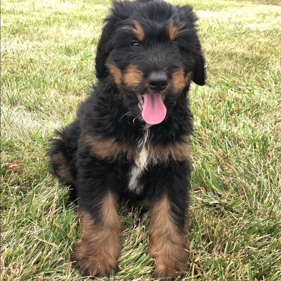 Profile Picture of Brian Miller (@brianmiller54) on Poshmark