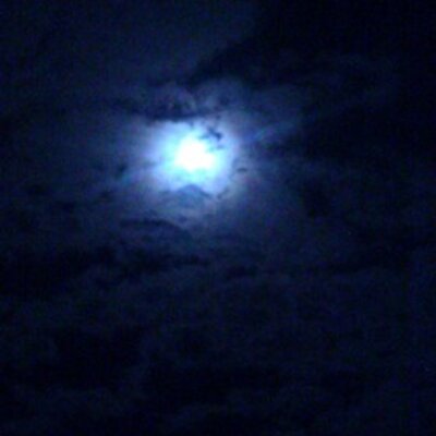 Profile Picture of Terry Bloom (@tbbloom) on Twitter