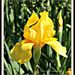 Profile Picture of Robin Seabury (@robinseabury) on Pinterest