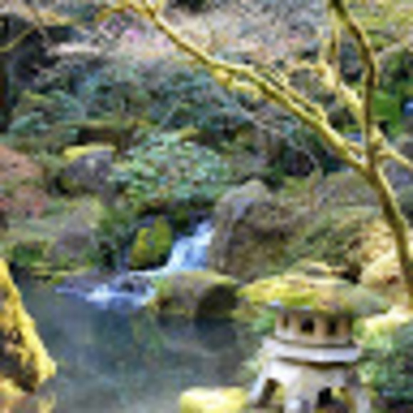 Profile Picture of Elise Caplan (@elisegrila) on Poshmark