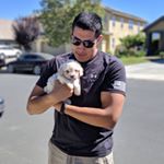 Profile Picture of Jesse Vazquez (@zquez_milk) on Instagram