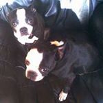 David Blaisdell - Instagram Profile Picture of David Blaisdell (@blaisdell.david) on Instagram