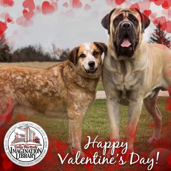 Profile Picture of Lisa Augsburger (@llaugsburg) on Poshmark