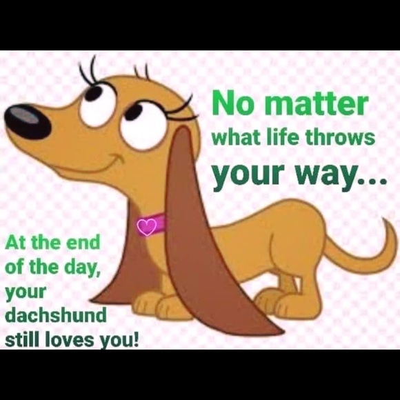 Profile Picture of Joellen Sirgany (@joellensirgany) on Poshmark